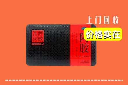 哈尔滨道里回收阿胶