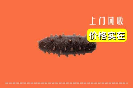哈尔滨道里回收海参