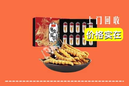 哈尔滨道里回收虫草